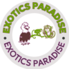 exoticsparadise.com
