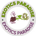 exoticsparadise.com