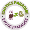exoticsparadise.com